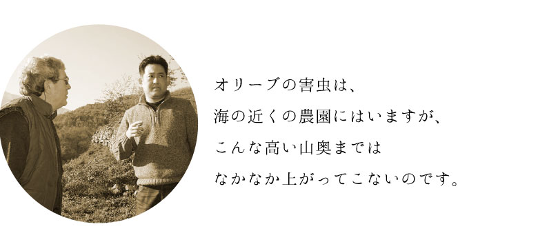 害虫は高い山奥に上がってこない