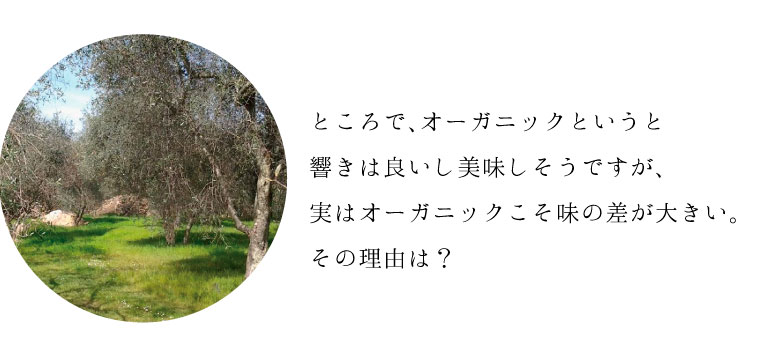 味の差が大きい理由