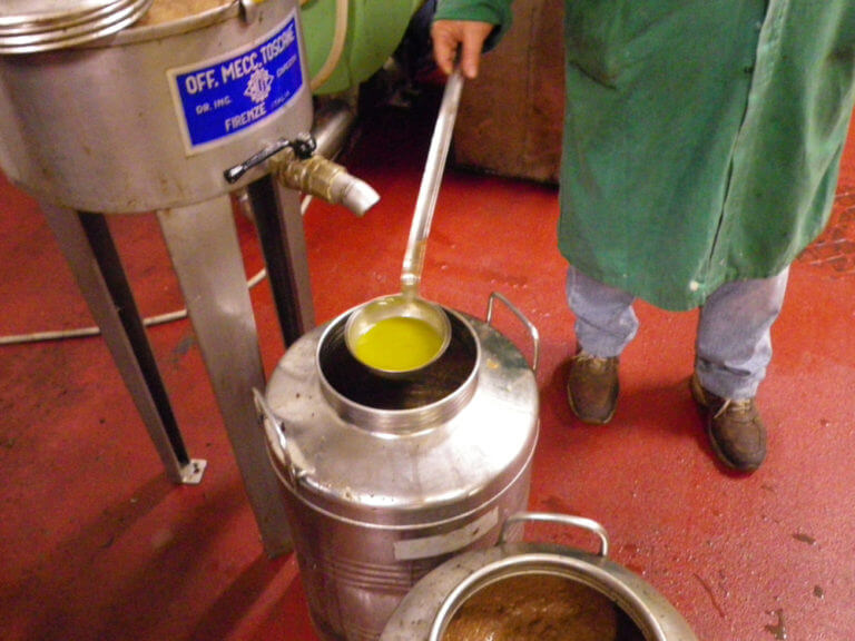 賞味期限切れのエキストラバージンオリーブオイルは食べられる? 賞味期限切れのエキストラバージンオリーブオイルは食べられる?