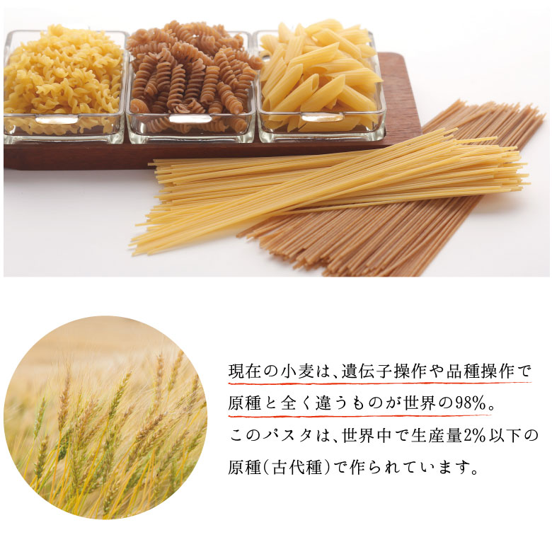 原種(古代種)で作られています
